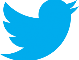 Twitter_logo_bird_transparent_png