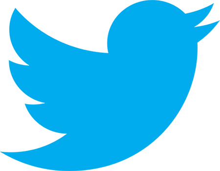 Twitter_logo_bird_transparent_png