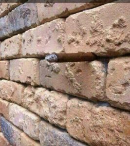 photo credit: Arron Bevin/Facebook cigar in wall