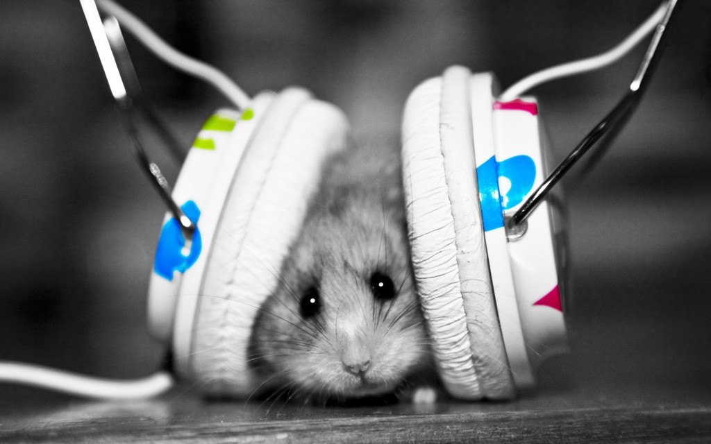 Just chillin', listening to my beats.